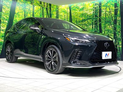 2023 Lexus NX — миниатюра 17