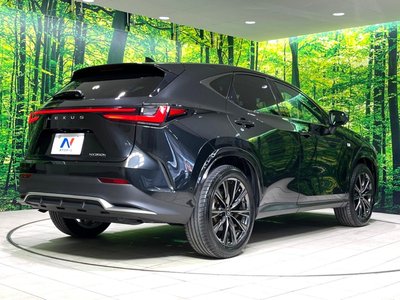 2023 Lexus NX — миниатюра 18