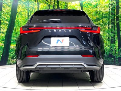 2023 Lexus NX — миниатюра 16