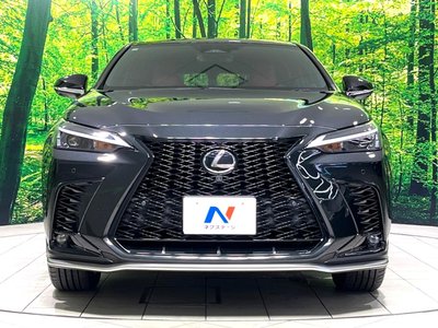 2023 Lexus NX — миниатюра 15