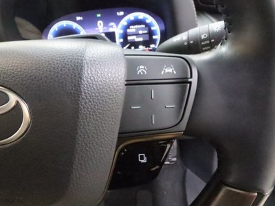 2025 Toyota ALPHARD 照片 32