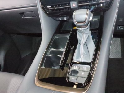 2025 Toyota ALPHARD 照片 29