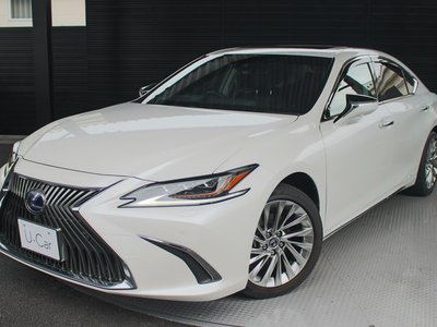 2021 Lexus ES photo 1