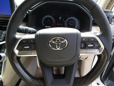 2025 Toyota LAND CRUISER 300 — фото 22