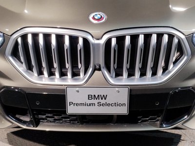 صورة 14 لـ 2023 BMW X6