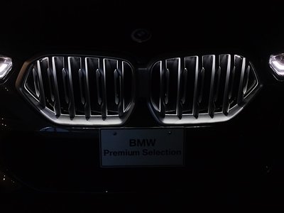 صورة 12 لـ 2023 BMW X6