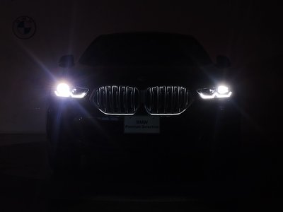صورة 11 لـ 2023 BMW X6