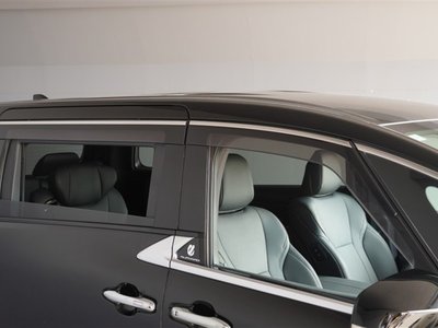 2024 Toyota ALPHARD 照片 20