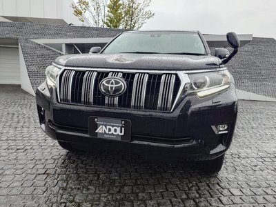 2022 Toyota LAND CRUISER PRADO 照片 6
