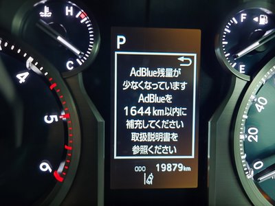 2022 Toyota LAND CRUISER PRADO 照片 14
