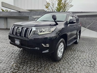 2022 Toyota LAND CRUISER PRADO 照片 1
