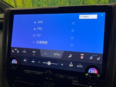2024 Toyota VELLFIRE photo 4