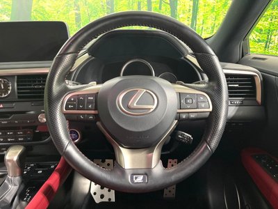 2022 Lexus RX photo 11