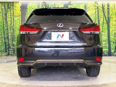 2022 Lexus RX photo 15