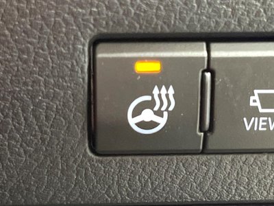 2022 Lexus RX thumbnail 36