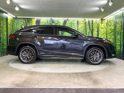 2022 Lexus RX thumbnail 65