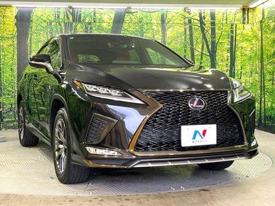 2022 Lexus RX photo 16