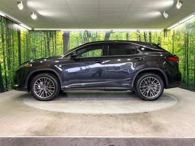 2022 Lexus RX thumbnail 64
