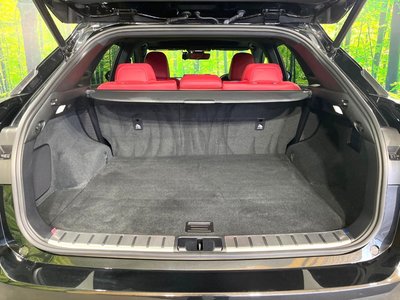 2022 Lexus RX thumbnail 52