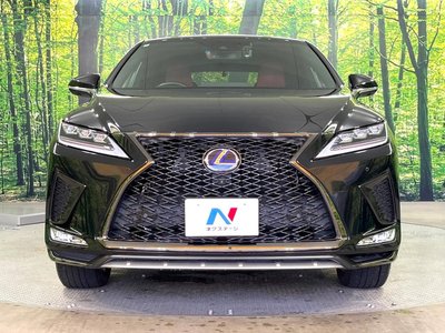 2022 Lexus RX photo 14