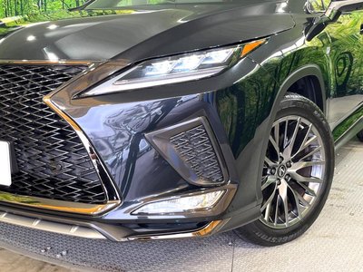 2022 Lexus RX photo 12