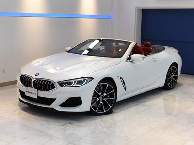 2019 BMW 8 SERIES CABRIOLET photo 41