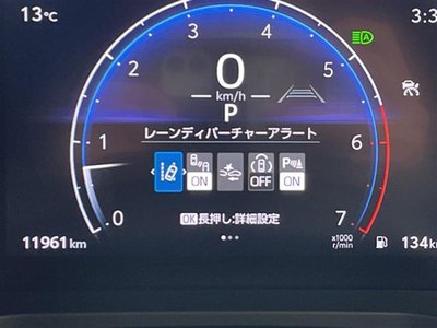 2024 Toyota LAND CRUISER 250 photo 29