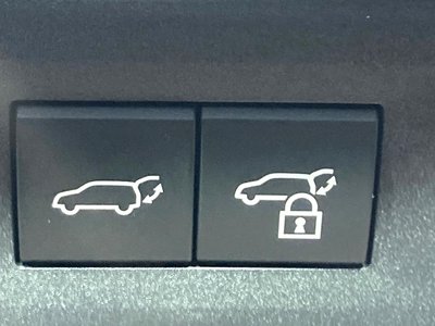 صورة مصغرة 34 لـ 2023 Lexus NX