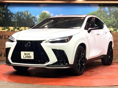 صورة مصغرة 20 لـ 2023 Lexus NX