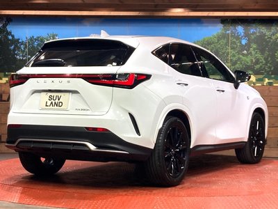صورة مصغرة 16 لـ 2023 Lexus NX