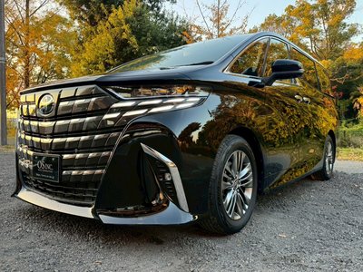 2024 Toyota ALPHARD — фото 10