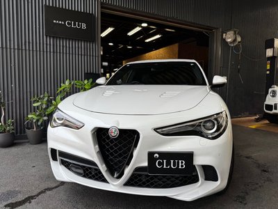 2019 ALFA Romeo STELVIO — фото 5
