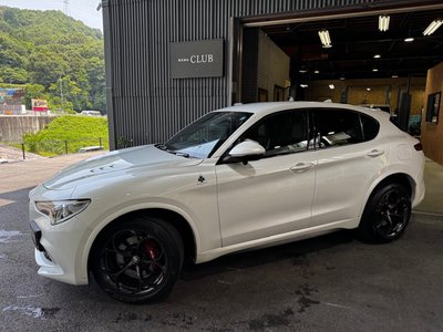 2019 ALFA Romeo STELVIO — фото 8
