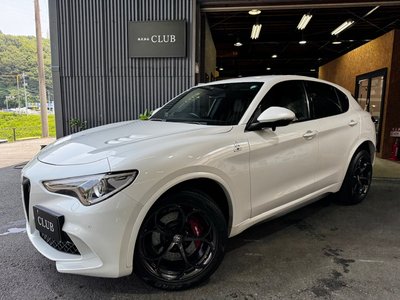 2019 ALFA Romeo STELVIO — фото 9