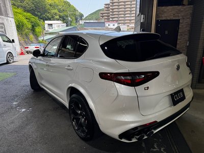 2019 ALFA Romeo STELVIO — фото 17