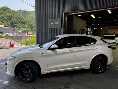 2019 ALFA Romeo STELVIO — фото 11