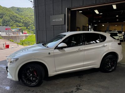 2019 ALFA Romeo STELVIO — фото 7