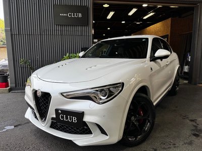 2019 ALFA Romeo STELVIO — фото 6
