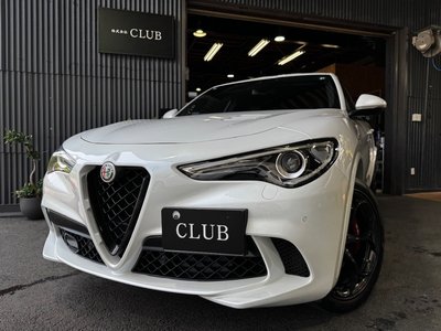 2019 ALFA Romeo STELVIO — фото 2
