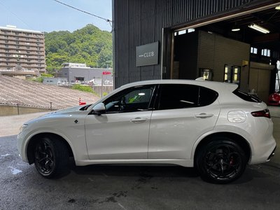 2019 ALFA Romeo STELVIO — фото 10