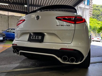 2019 ALFA Romeo STELVIO — фото 46
