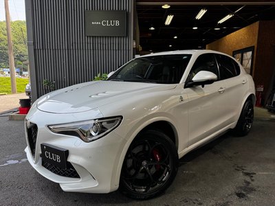 2019 ALFA Romeo STELVIO — фото 4