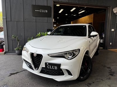 2019 ALFA Romeo STELVIO — фото 3