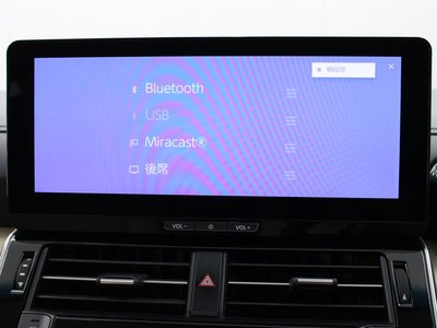 2025 Toyota LAND CRUISER 300 照片 49