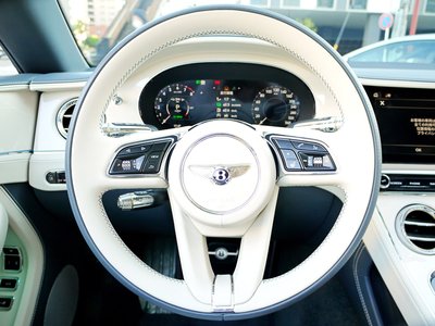 2025 Bentley CONTINENTAL 缩略图 17