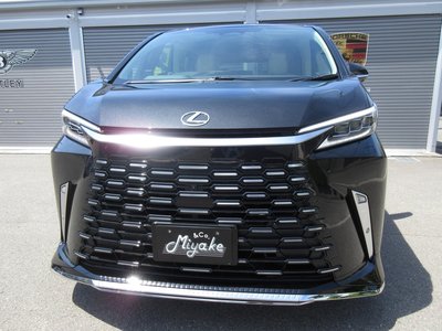 2026 Lexus LM photo 3
