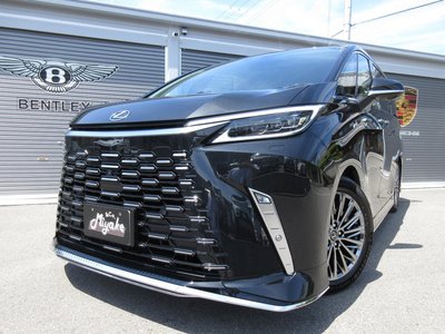 2026 Lexus LM photo 11