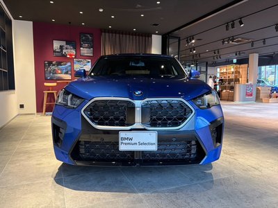 2025 BMW X2 photo 6