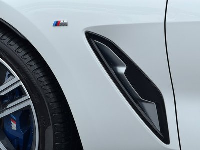 2020 BMW 8 SERIES thumbnail 65