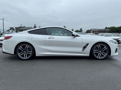 2020 BMW 8 SERIES thumbnail 60